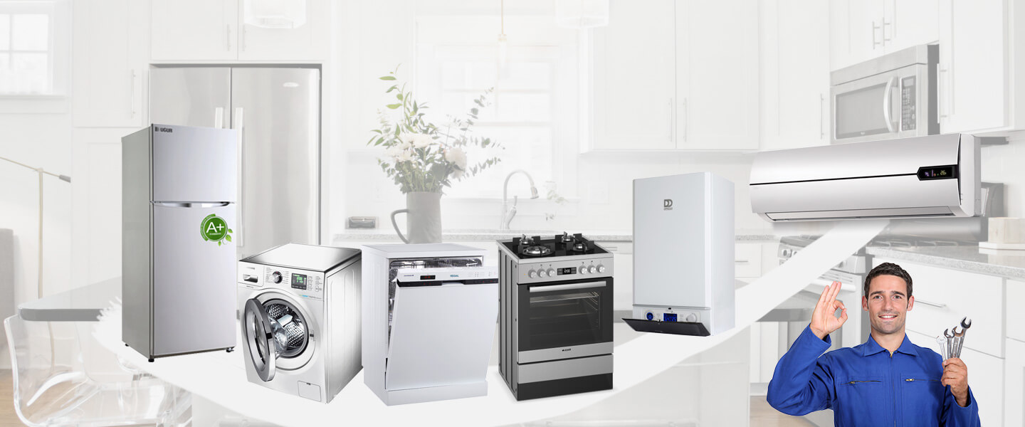 Sarıçam Philips Servisi